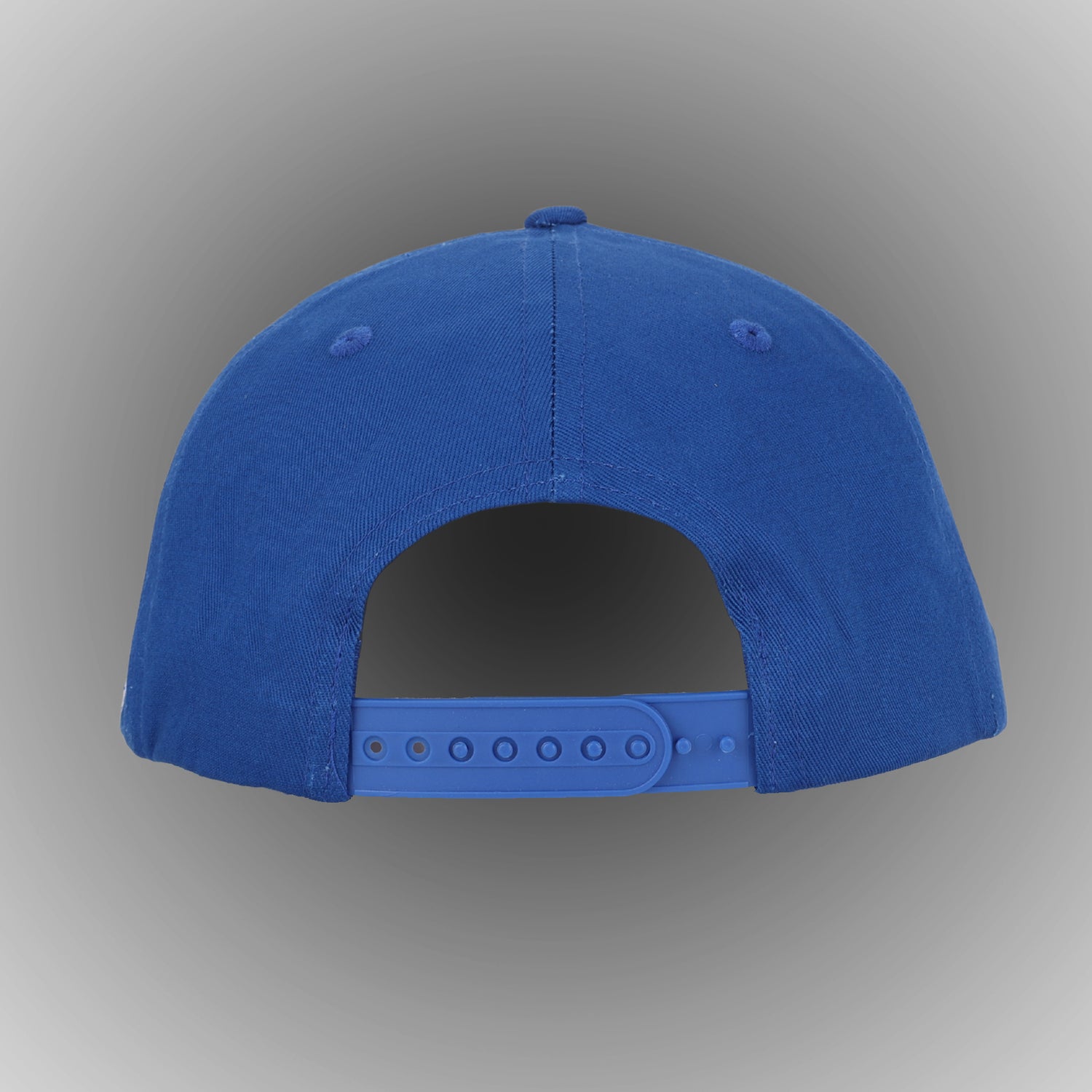 Mobile Professional Snapback Hat