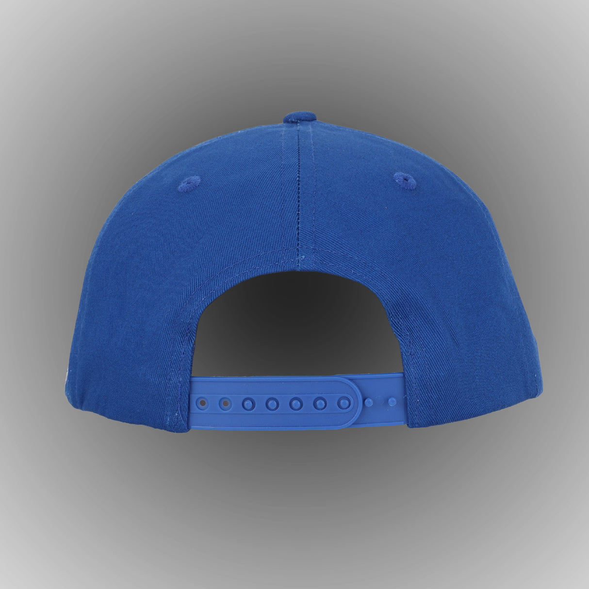 Mobile Professional Snapback Hat