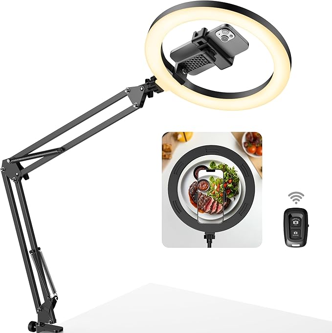 Overhead Phone Mount with Ring Light, 10" LED